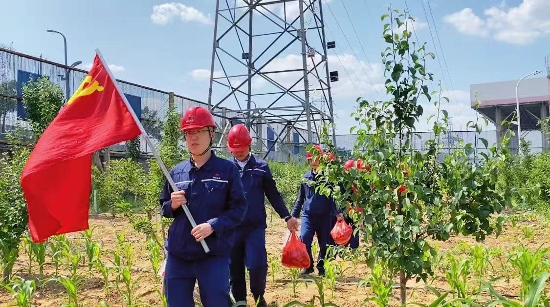 221753145975180871.jpg cc32913d-346f-4dae-be28-372864e8ed72.jpg