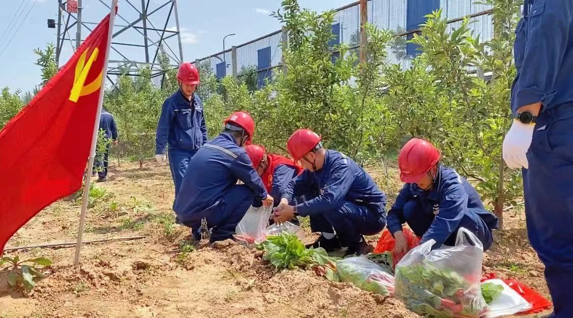 221753146001106759.jpg 30f8683d-f837-4a48-94c9-6ade9ec8d9e1.jpg