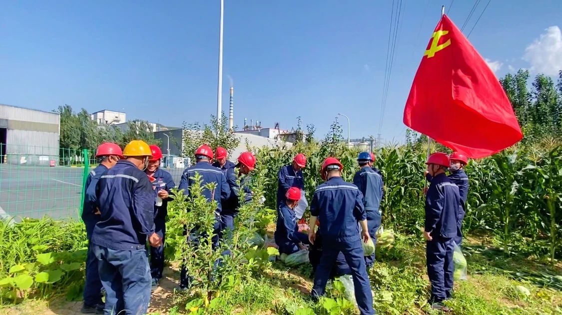 141755131550154181.jpg 0ce287c6-449a-4963-a85a-a5cd6743fcfd.jpg