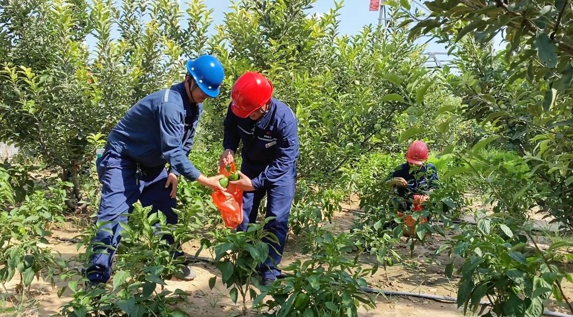 141755131572439555.jpg 3947ecb4-3da0-4e99-a339-4f02f58ef72f.jpg