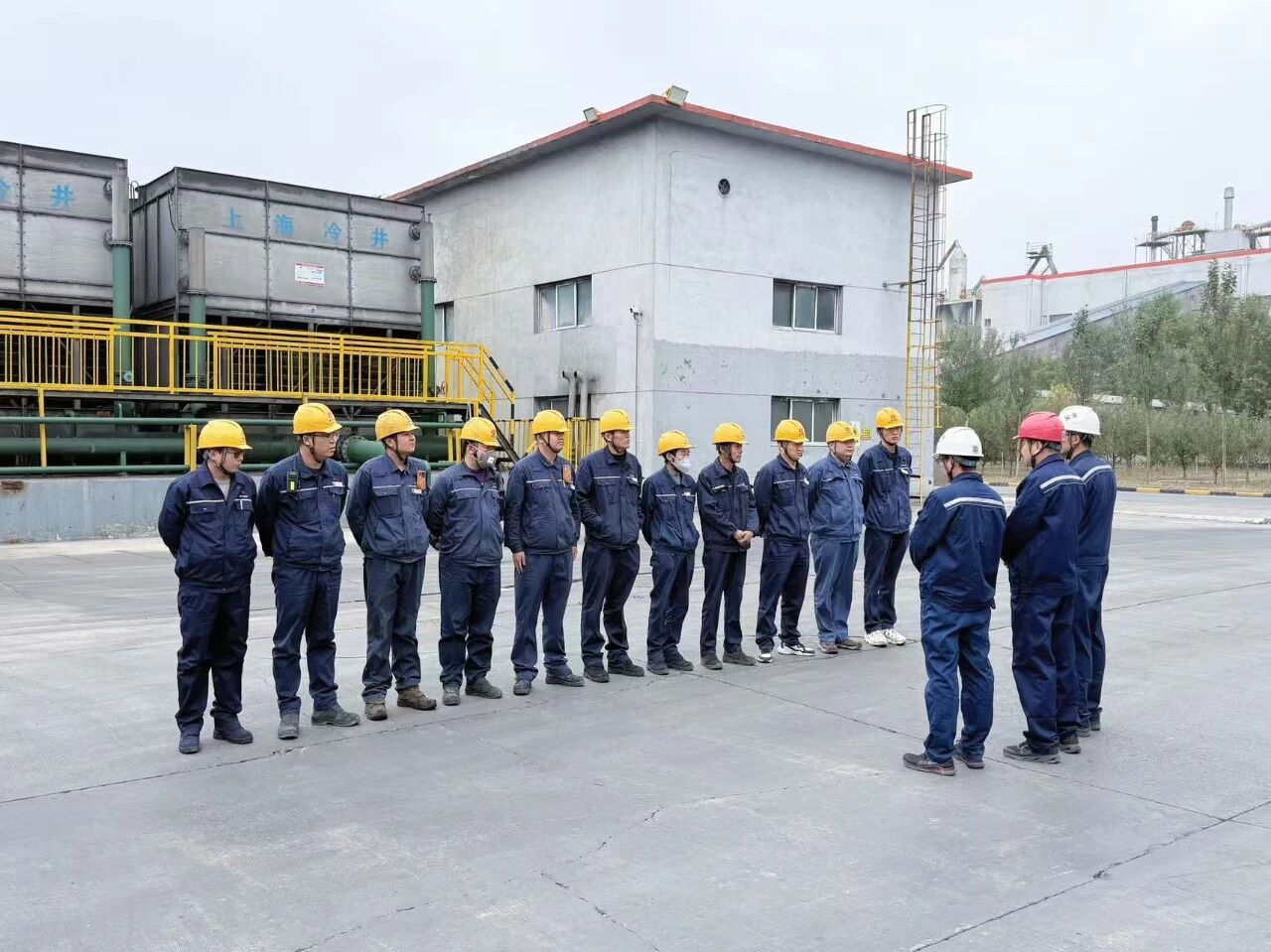 301761786564113586.jpg 807e0c89-0088-4ca2-b67c-b4ac14102ac2.jpg