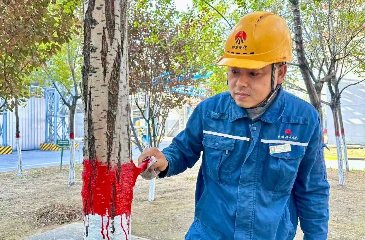 061762390121705088.jpg 94d03d95-5c8f-433c-899e-23860576fe0c.jpg