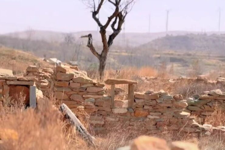 181763426444601082.jpg 80e674a3-22ca-4360-bfef-e991e8c24cdd.jpg