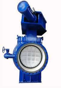 Ӣ�ư����y��������Ј���Ó�f������